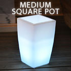 Ledcore Glowlines - Medium Square Pot ( GWL-SG3000 )